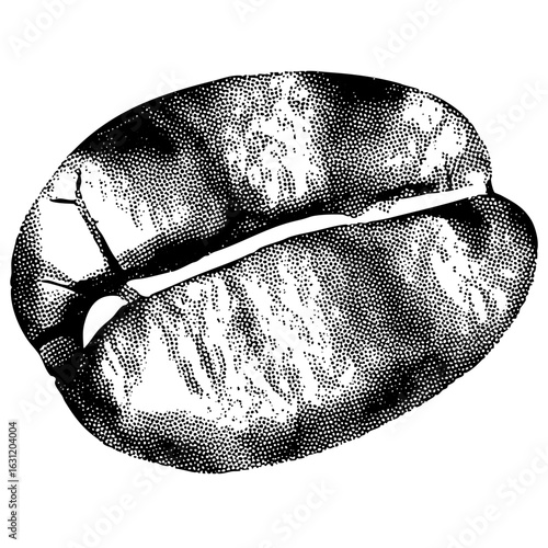 Vector Detailed of a coffee bean with a central split.