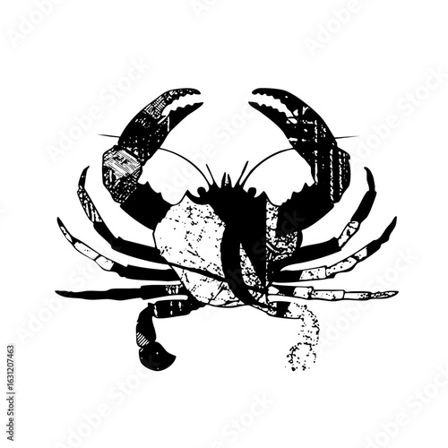 Vector Detailed of a crab with textured claws and body.