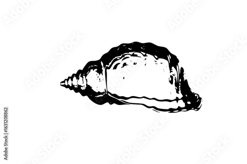 Vector Detailed of a marine with textured surface.