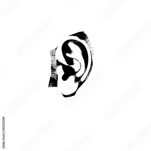 Vector Abstract ear with swirling .