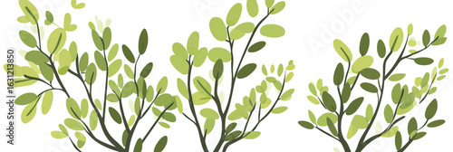Green leafy branches with light and dark green leaves isolated on white background vector illustration in flat minimalist style for natural design concept