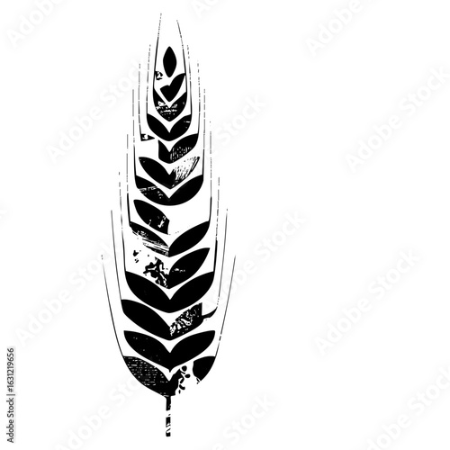 Vector Elegant feather with detailed barb structure.