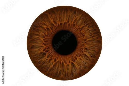 Realistic Brown Contact Lens – Detailed Iris Texture

