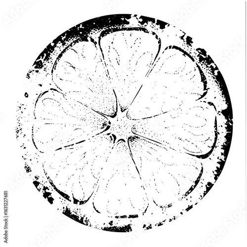 Vector Citrus Slice with Rough Edges