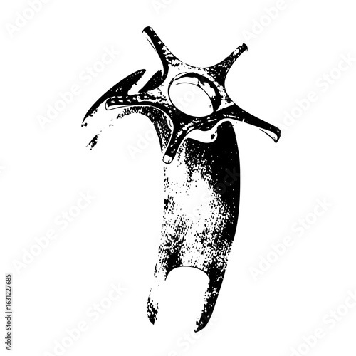 Vector Detailed skeletal vertebra with textured effect.