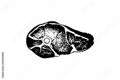 Vector Detailed of a cross-section of raw meat.