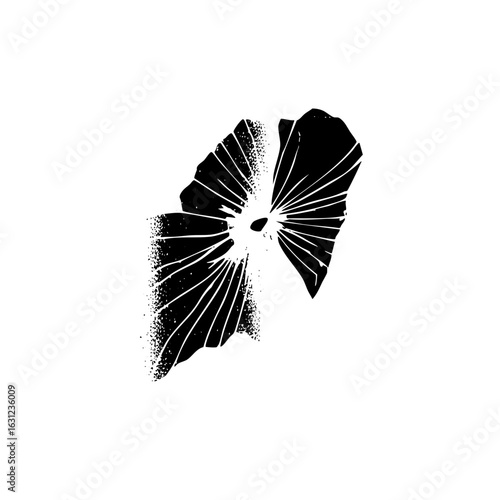 Vector Abstract shattered shape with radiating lines.
