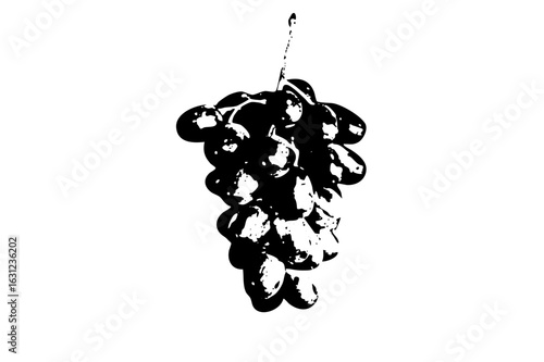 Vector Black and white of a hanging grape bunch.