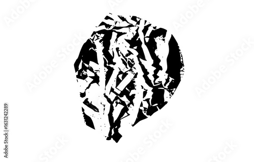 Vector Abstract lion head in monochrome style.
