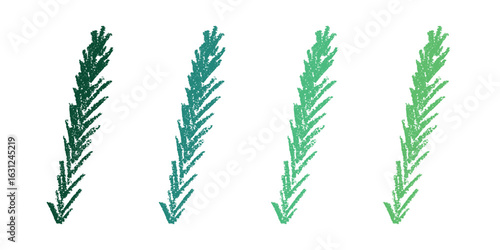 Set of hand drawn spruce branch clipart. Twig of coniferous tree doodle. Christmas and winter design element
