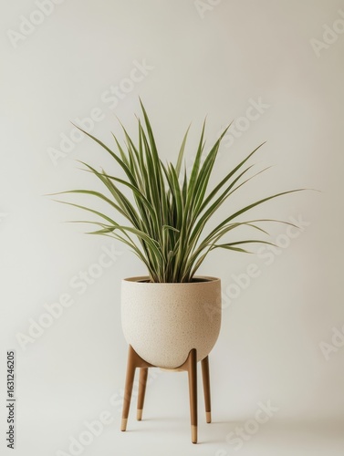 Light beige planter with a vibrant, slender, green plant