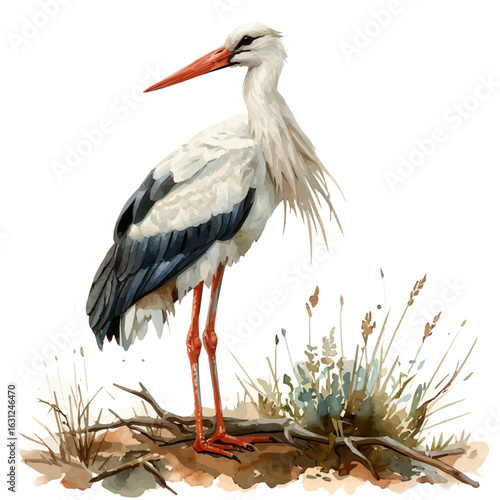 watercolor of Stork, vector, isolated on a white background.