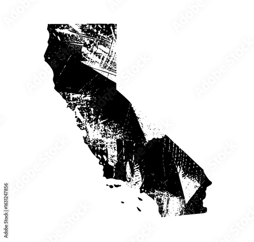 Vector Abstract monochrome of California shape.
