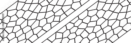 Set of black and white seamless geometric pattern vectors. Repeating irregular shape backgrounds for web tiles, science, and interior design. Collection of polygonal  line cell template backgrounds.