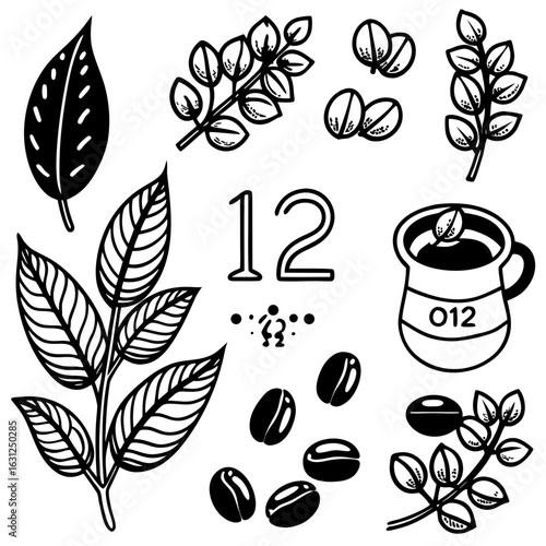 Hand-drawn black and white coffee plant elements and cup beans leaves