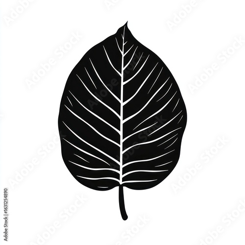 Simple black silhouette of a leaf.  Distinct,  ridged venation