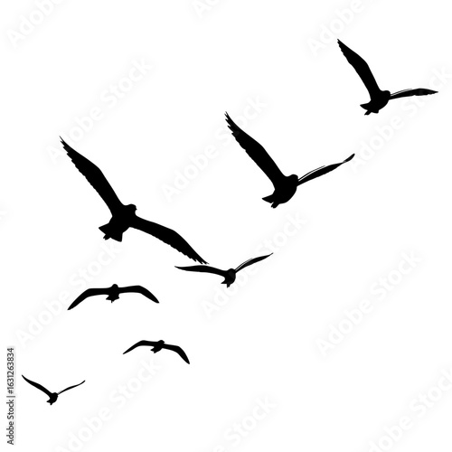 Soaring Silhouettes: A flock of seagulls cuts a striking figure against the sky, their silhouettes captured in mid-flight. They are gliding gracefully, symbolizing freedom and a journey forward.