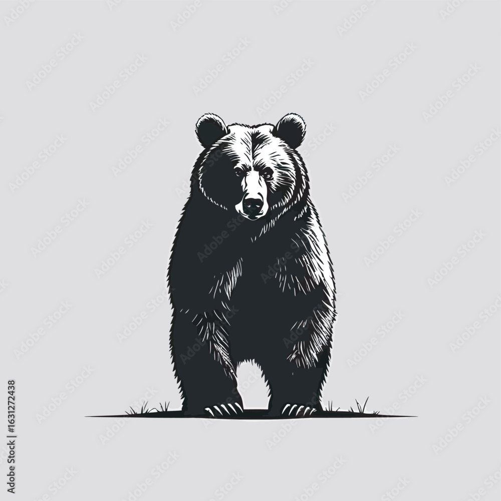 Obraz premium silhouette of a bear