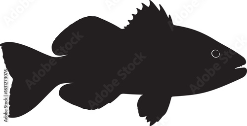 False moray fish in silhouette white background.