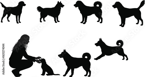 Silhouettes of dogs,  dog poses, sitting, running, standing, kneeling, animal behavior, canine diversity, black silhouettes, dog training, pet love,  dog owner bond, dog motion, peaceful moment