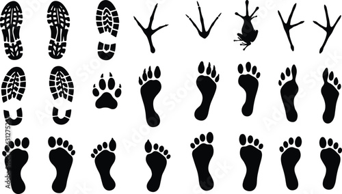 Footprints and paw prints collection, shoe tread patterns, bird tracks, frog print, dog paw, human feet, identification, educational use