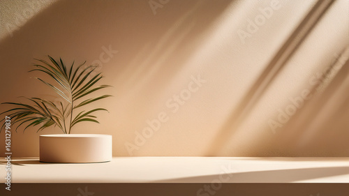Modern wall with soft shadows and plant detail. Perfect for lifestyle and design layouts.