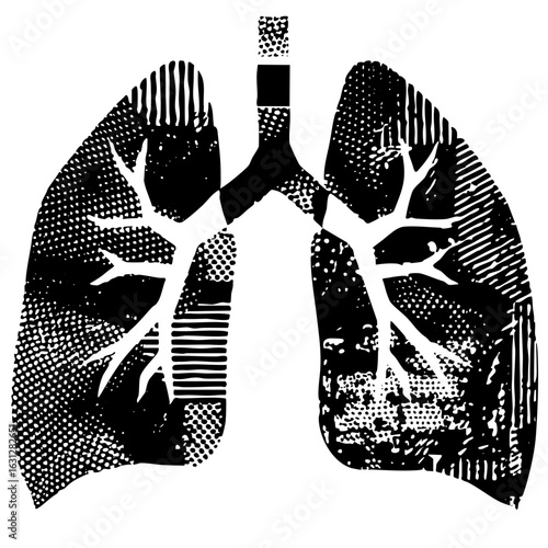 Vector Detailed anatomical lungs with branching .