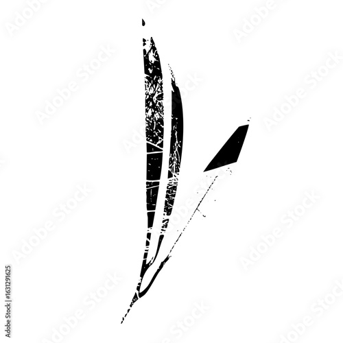 Vector Abstract black claw slash .