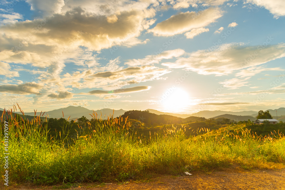 Obraz premium Golden sunshine sky tropical tree fields in sunny morning. Silhouette tree gold dawn mountain in spring season. Sustainable scenic meadow misty fog forest in countryside. Amazing landscape greenery