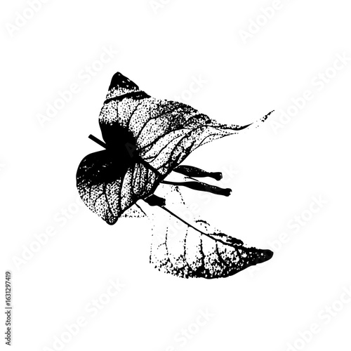 Vector Detailed of a decaying leaf with prominent veins.
