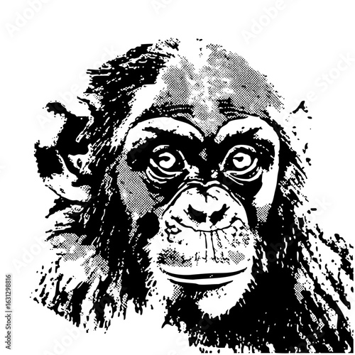 Vector Detailed primate face with expressive eyes.