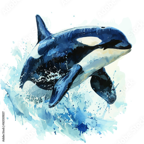 watercolor vector of Orca, isolated on a white background.