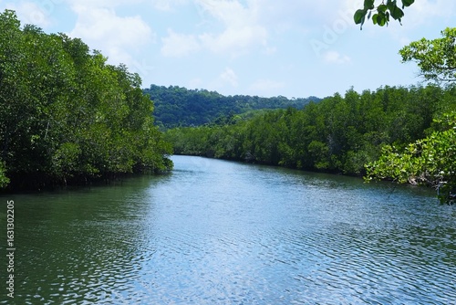 A wide river surrounded by trees