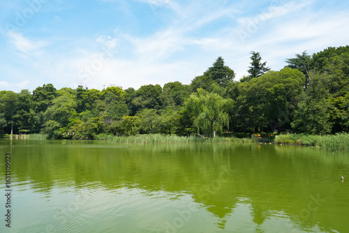 井之頭公園