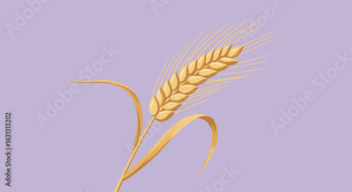 Golden wheat illustration on light background for a natural, healthy food concept