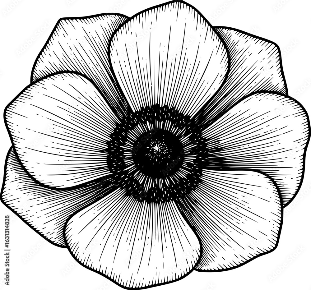 Obraz premium Detailed Flower Line Drawing