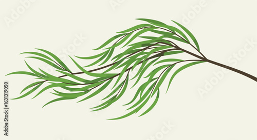 Single Weeping Willow Branch Illustration on Off-White Background, Wallpaper