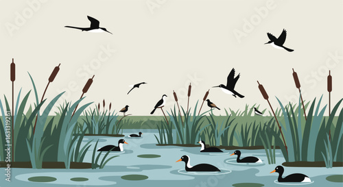 Birds swim & fly at cattail wetland for environment-themed project use