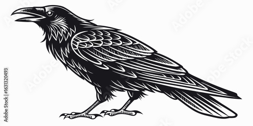 Black bird flying, a raven or crow, with outstretched wings, a vector illustration on a white background