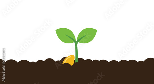 Sprout growing from the soil in front of a white backdrop for gardening concepts