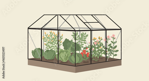 Isolated greenhouse with plants growing inside; copy space, garden planning