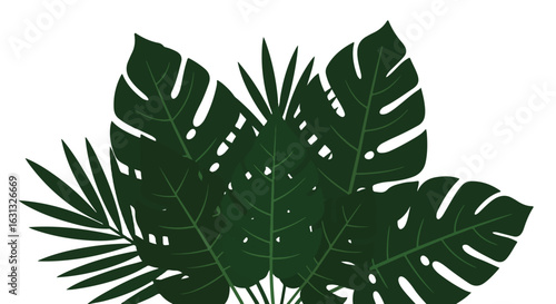 Monstera & Palm Leaves Bunch, Isolated Background, Tropical Plants Use