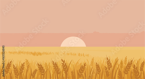Wheat field, sunrise. Warm sunset. Flat design. Use Wallpaper, background