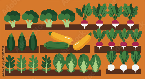 Flat illustration of crops growing on a tiered garden bed, on an orange background