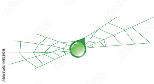 Dewdrop hangs on a green spiderweb against a white background, for design use