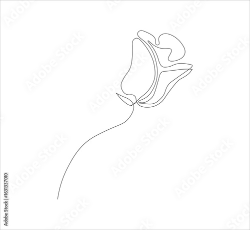 One continuous line drawing of a red rose flower.white background, Rose flower outline vector illustration,vector illustration