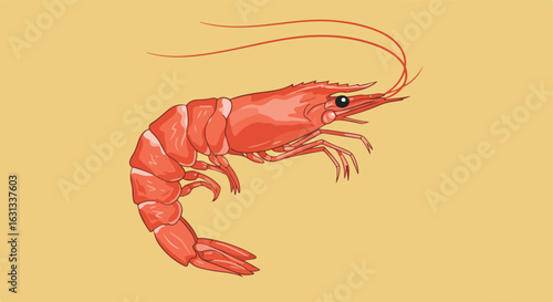 Vector shrimp illustration on plain background, suitable for seafood design project