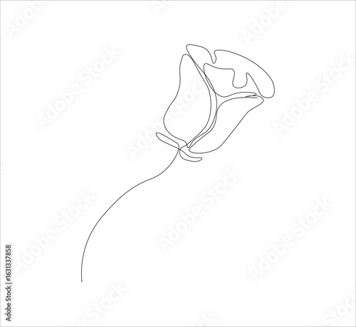 One continuous line drawing of a red rose flower.white background, Rose flower outline vector illustration,vector illustration
