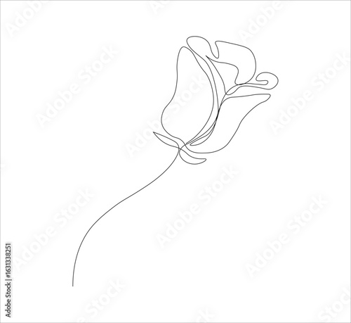 One continuous line drawing of a red rose flower.white background, Rose flower outline vector illustration,vector illustration
