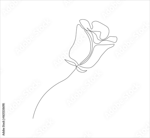One continuous line drawing of a red rose flower.white background, Rose flower outline vector illustration,vector illustration